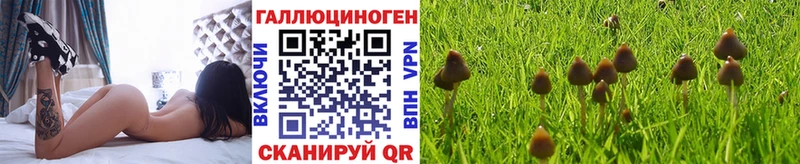 где найти наркотики  Россошь  ссылка на мегу tor  Галлюциногенные грибы ЛСД 