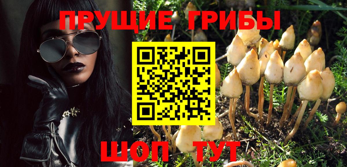 Псилоцибиновые грибы MAGIC MUSHROOMS  Вход с VPN  хочу   Россошь  Псилоцибиновые грибы мухоморы 
