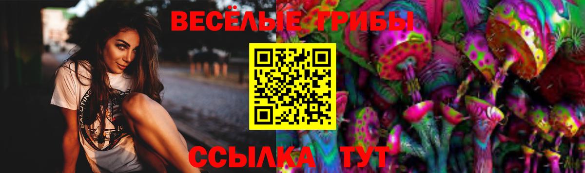 Галлюциногенные грибы прущие грибы Россошь