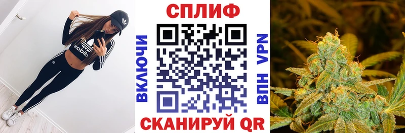 закладки  Россошь  Канабис гибрид 